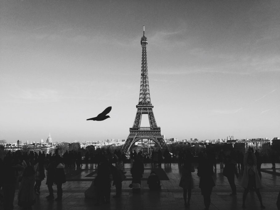 Eiffel Tower Bird